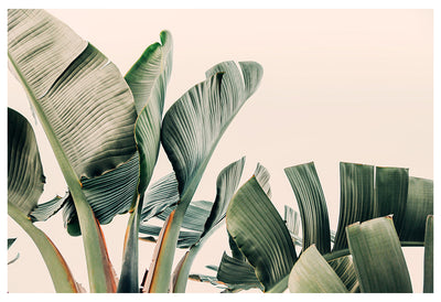 Around The Bend #2 - Fine Art Photograph by Alicia Bock Print Shop - main product image for Resin Society
