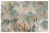 Bismarck Morning #2- Fine Art Photograph by Alicia Bock Print Shop - main product image for Resin Society