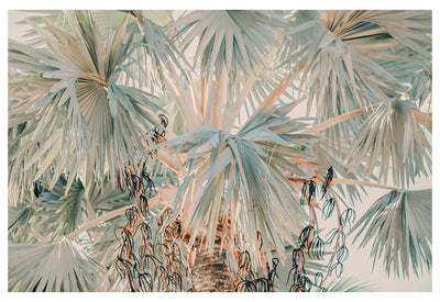 Bismarck Morning #2- Fine Art Photograph by Alicia Bock Print Shop - main product image for Resin Society