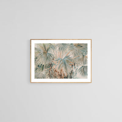 Bismarck Morning #2- Fine Art Photograph by Alicia Bock Print Shop - product image 2 for Resin Society