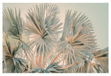 Bismarck Morning #3- Fine Art Photograph by Alicia Bock Print Shop - main product image for Resin Society