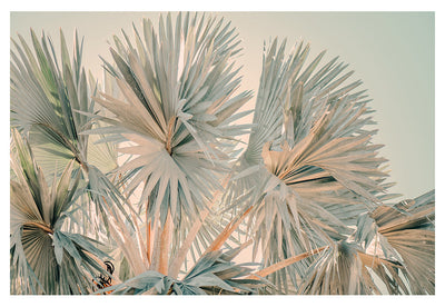 Bismarck Morning #3- Fine Art Photograph by Alicia Bock Print Shop - main product image for Resin Society