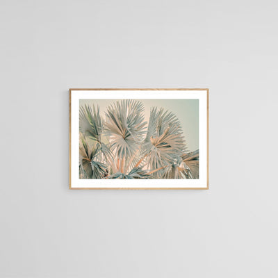 Bismarck Morning #3- Fine Art Photograph by Alicia Bock Print Shop - product image 2 for Resin Society