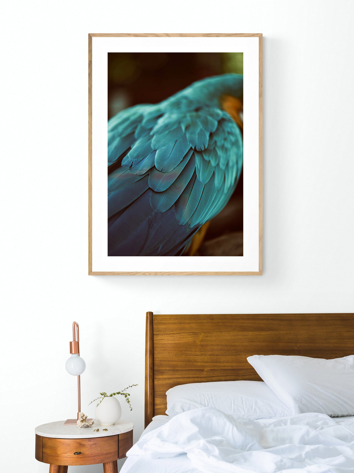 Blue Feathers #4 - Fine Art Photograph by Alicia Bock Print Shop - product image 3 for Resin Society