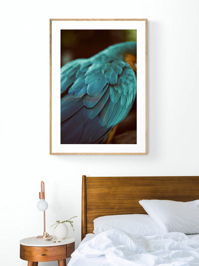 Blue Feathers #4 - Fine Art Photograph by Alicia Bock Print Shop - product image 3 for Resin Society