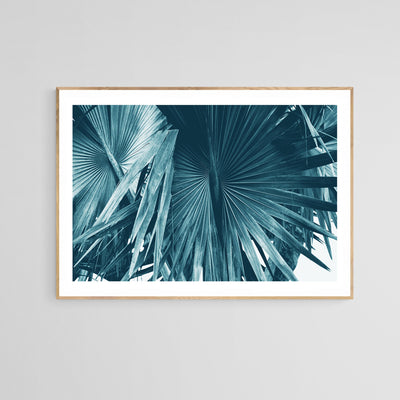 Cyan Bismarck #1 - Fine Art Photograph by Alicia Bock Print Shop