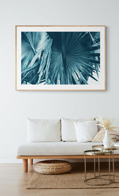 Cyan Bismarck #1 - Fine Art Photograph by Alicia Bock Print Shop