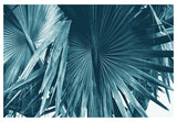 Cyan Bismarck #1 - Fine Art Photograph by Alicia Bock showing a detailed cyanotype print with natural tones