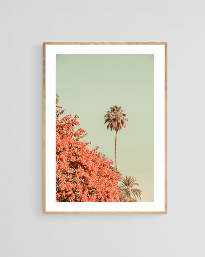 Modern Fine Art Photograph - Distant Palms by Alicia Bock Print Shop - product image 3 for Resin Society