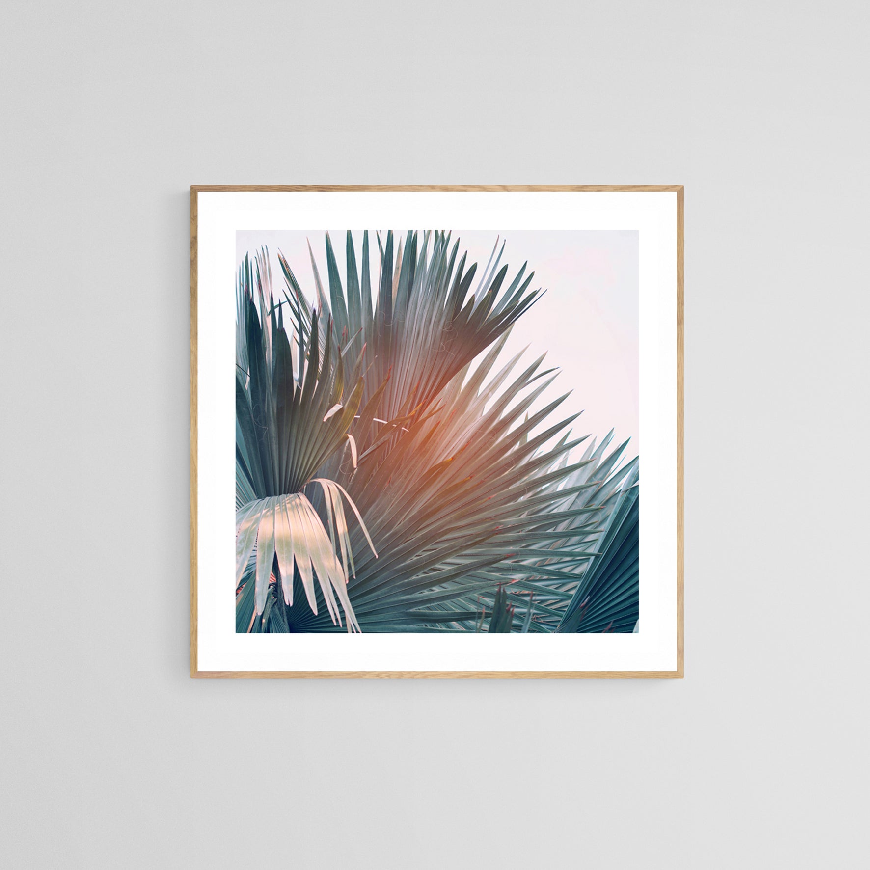 Island Breeze - Fine Art Photograph