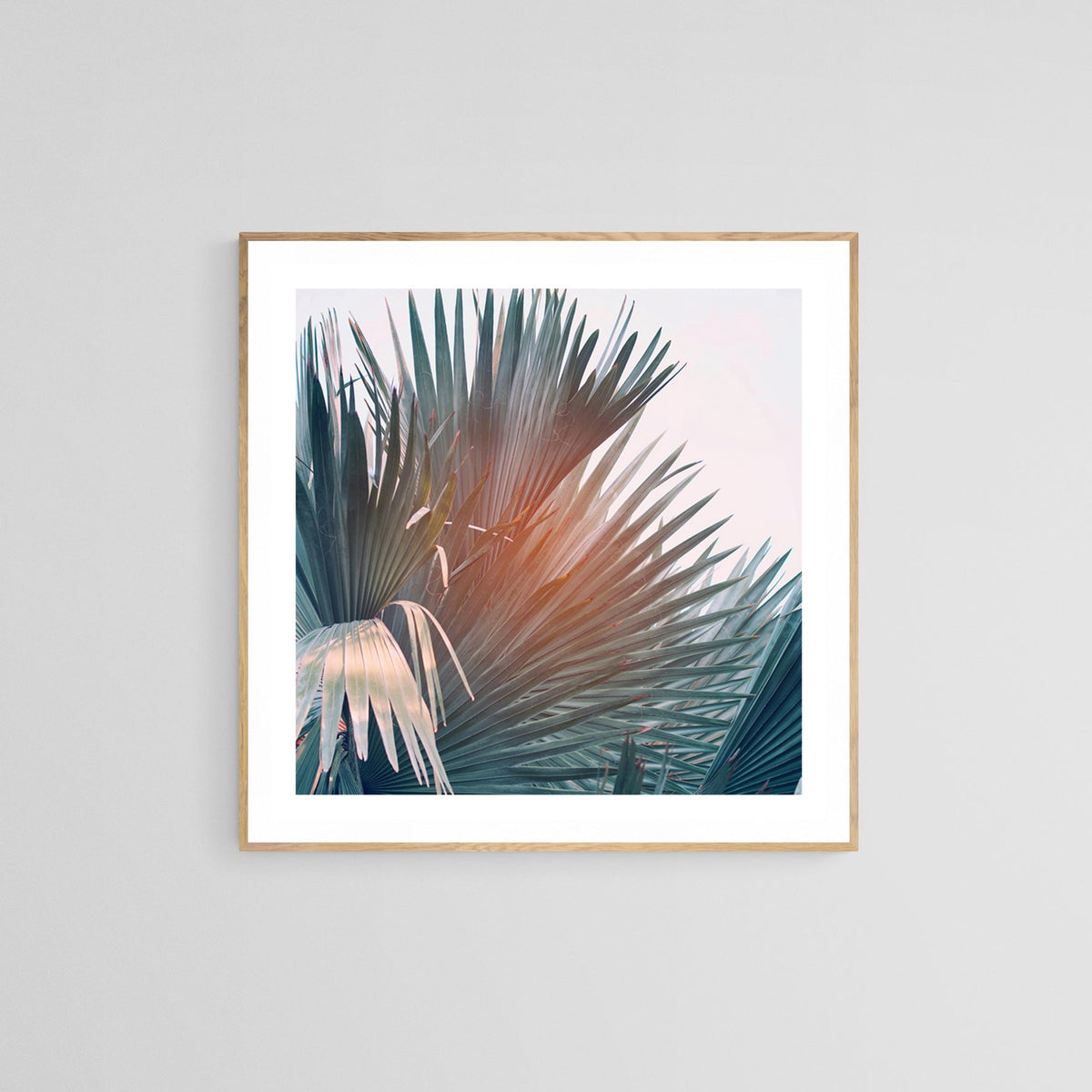 Square photograph of layered palm fronds with teal and orange light highlights, framed in light wood and matted white against a gray wall.