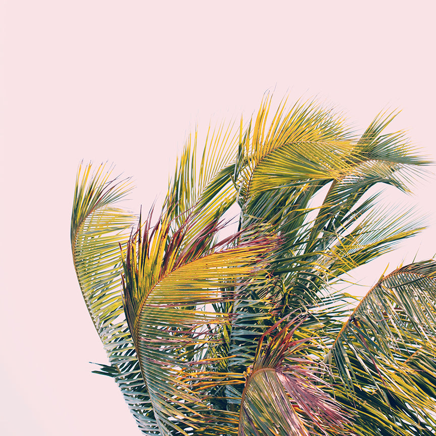 Modern Fine Art Photograph - Like A Hurricane by Alicia Bock Print Shop - main product image for Resin Society