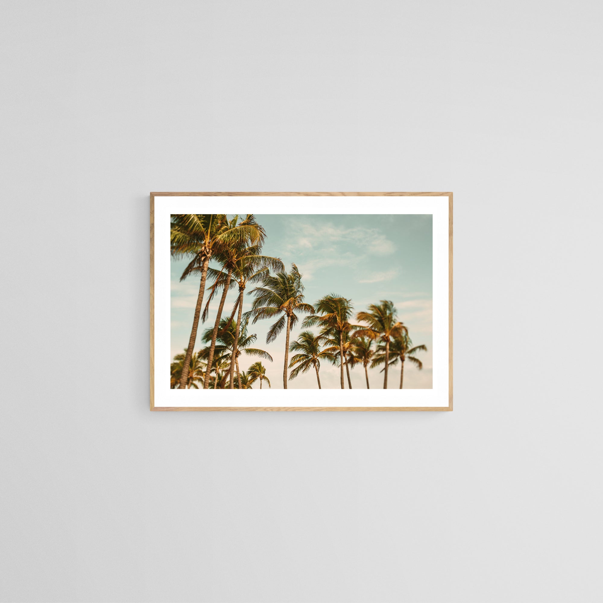 Miami Breeze - Fine Art Photograph by Alicia Bock Print Shop - product image 2 for Resin Society