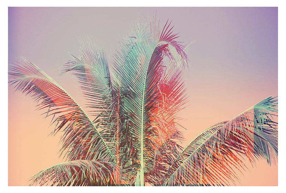 Modern Fine Art Photograph - Pastel Palms #2 by Alicia Bock Print Shop - main product image for Resin Society