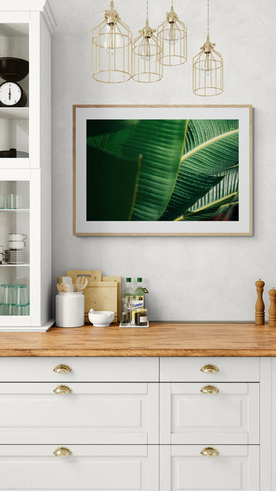 Modern Fine Art Photograph - Sun Drops by Alicia Bock Print Shop - product image 2 for Resin Society