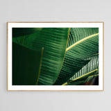 Modern Fine Art Photograph - Sun Drops by Alicia Bock Print Shop - product image 4 for Resin Society
