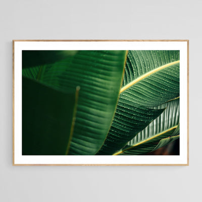 Modern Fine Art Photograph - Sun Drops by Alicia Bock Print Shop - product image 4 for Resin Society