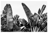Modern Fine Art Photograph - Silver Skies #2 by Alicia Bock Print Shop - main product image for Resin Society