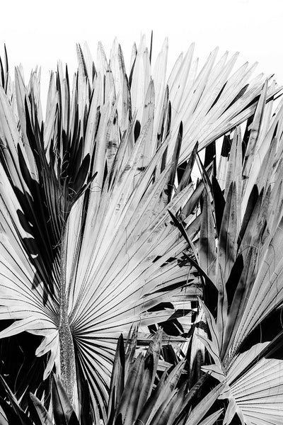 Modern Fine Art Photograph - Silver Skies #3 by Alicia Bock Print Shop - main product image for Resin Society