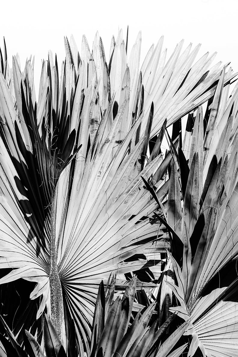 Modern Fine Art Photograph - Silver Skies #3 by Alicia Bock Print Shop - main product image for Resin Society