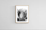 Modern Fine Art Photograph - Silver Skies #3 by Alicia Bock Print Shop - product image 3 for Resin Society