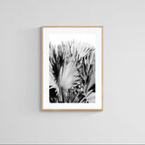 Modern Fine Art Photograph - Silver Skies #3 by Alicia Bock Print Shop - product image 4 for Resin Society