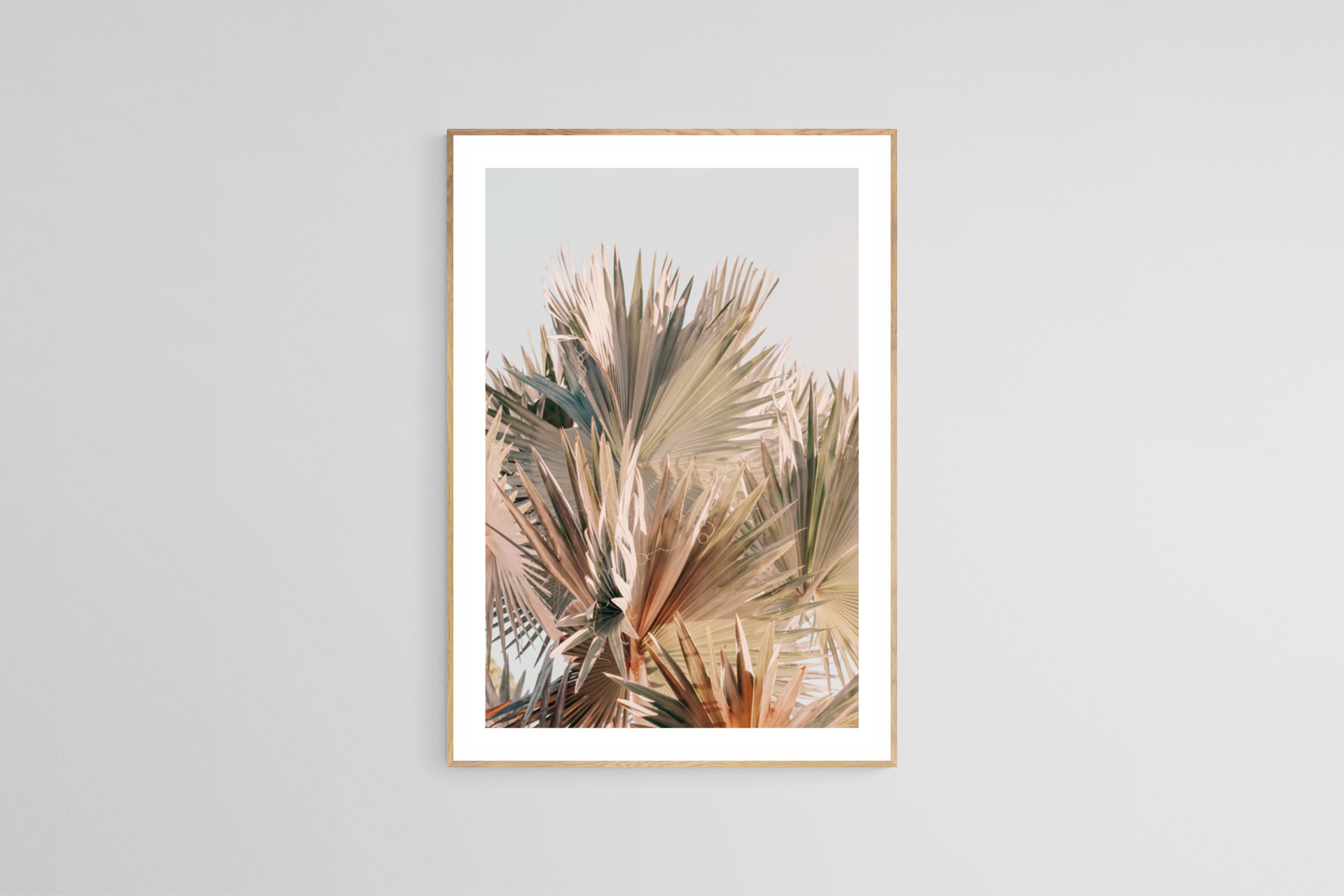 Modern Fine Art Photograph - Spring Palms #2 by Alicia Bock Print Shop - product image 3 for Resin Society