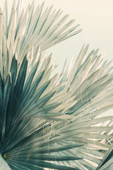 Modern Fine Art Photograph - Sunny Side by Alicia Bock Print Shop - main product image for Resin Society