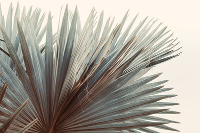 Modern Fine Art Photograph - This Side Of Summer by Alicia Bock Print Shop - main product image for Resin Society