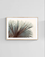 Modern Fine Art Photograph - This Side Of Summer by Alicia Bock Print Shop - product image 4 for Resin Society