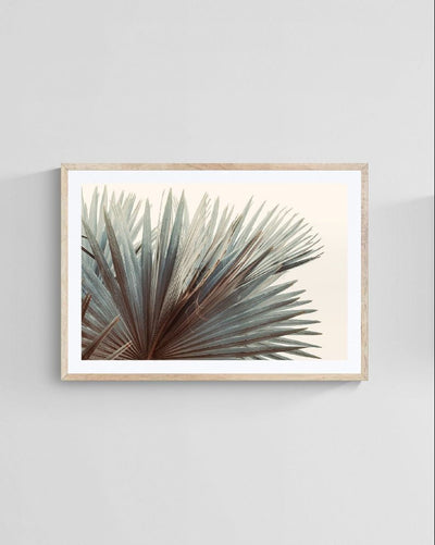 Modern Fine Art Photograph - This Side Of Summer by Alicia Bock Print Shop - product image 4 for Resin Society