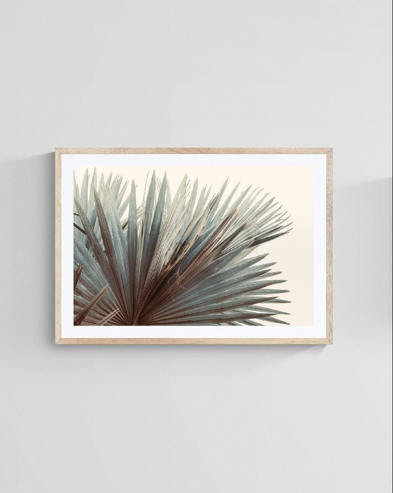 Modern Fine Art Photograph - This Side Of Summer by Alicia Bock Print Shop - product image 4 for Resin Society