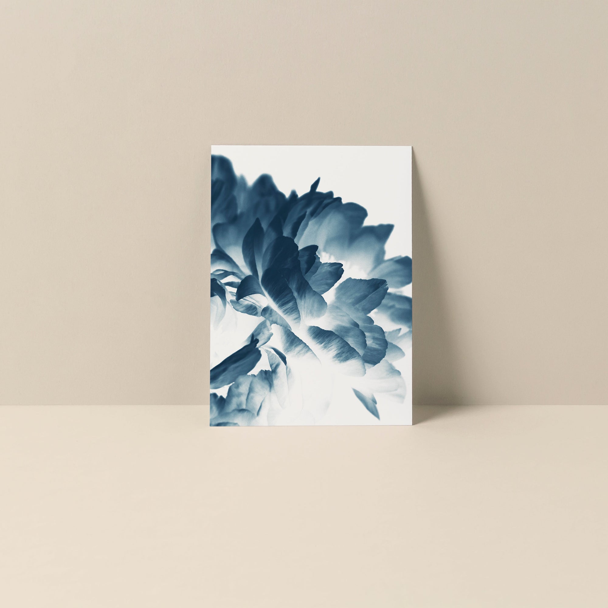 Blue Paeonia #3 blank notecard showing detailed spring Peony flowers on smooth matte card stock