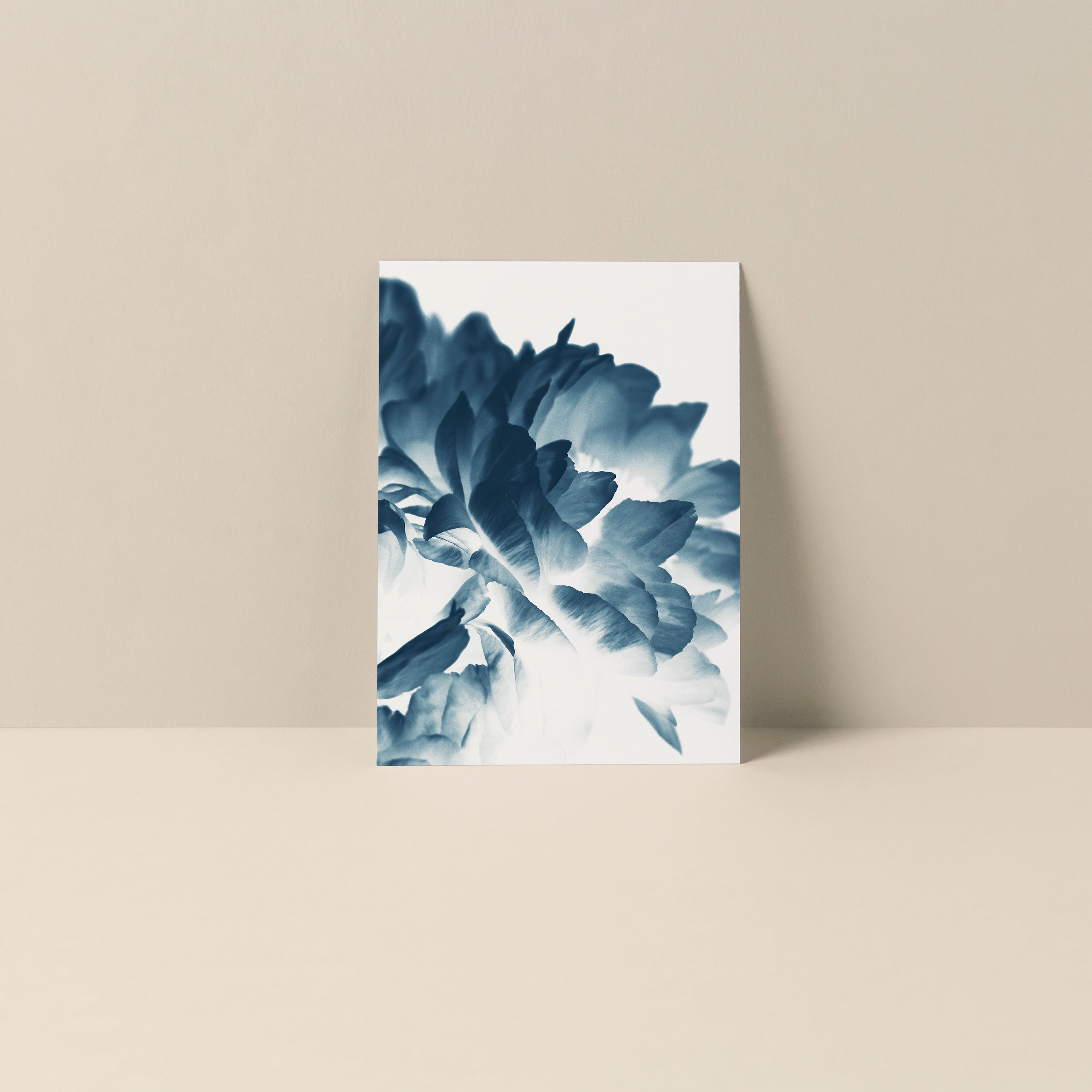 Blue Paeonia #3 blank notecard showing detailed spring Peony flowers on smooth matte card stock