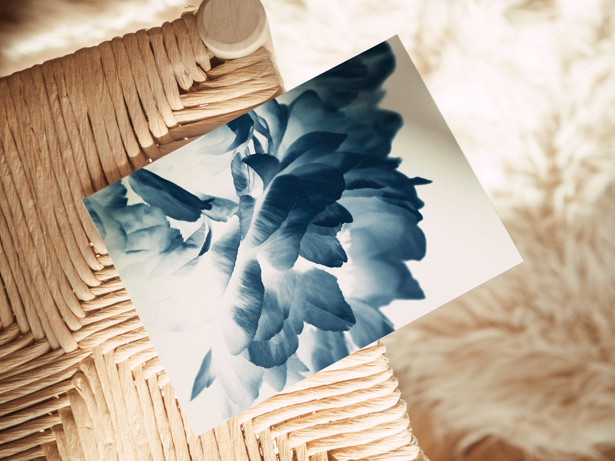 Blank notecard featuring a detailed close-up of a blue Paeonia flower with soft gradient petals, resting on the woven seat of a light wood chair.