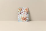 Blank note card featuring a close-up image of soft peach and white dahlia flowers against a beige background, standing upright on a matching surface.