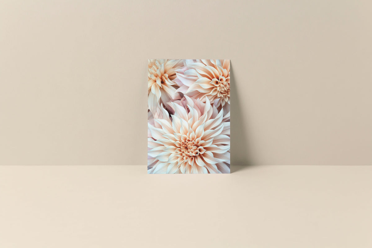 Blank note card featuring a close-up image of soft peach and white dahlia flowers against a beige background, standing upright on a matching surface.