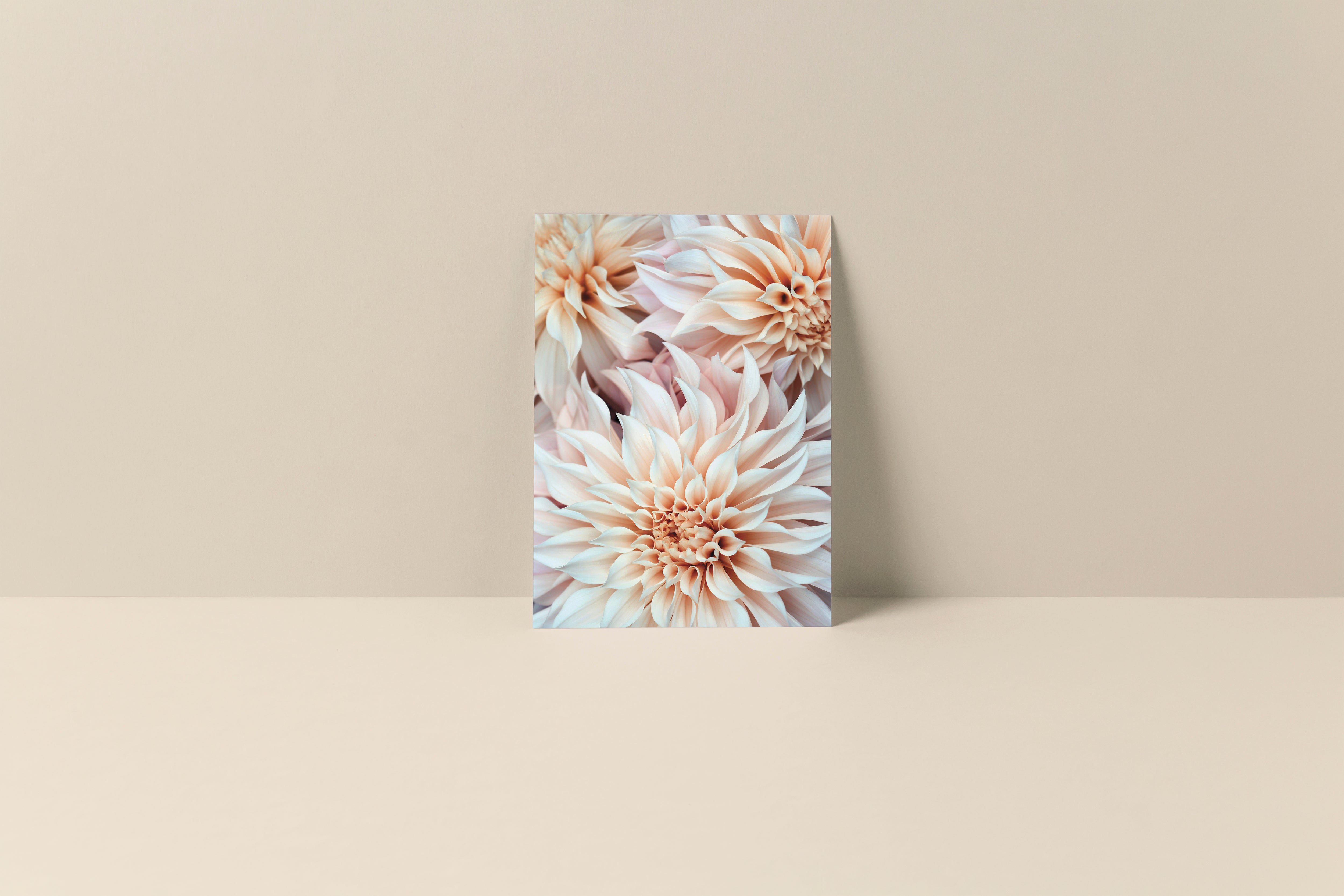 Cafe Au Lait - Blank Note Card