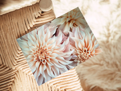 Cafe Au Lait - Blank Note Card