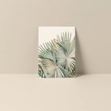 Card featuring a close-up photo of pale green fan palm leaves with sharp, linear patterns against a neutral beige background.