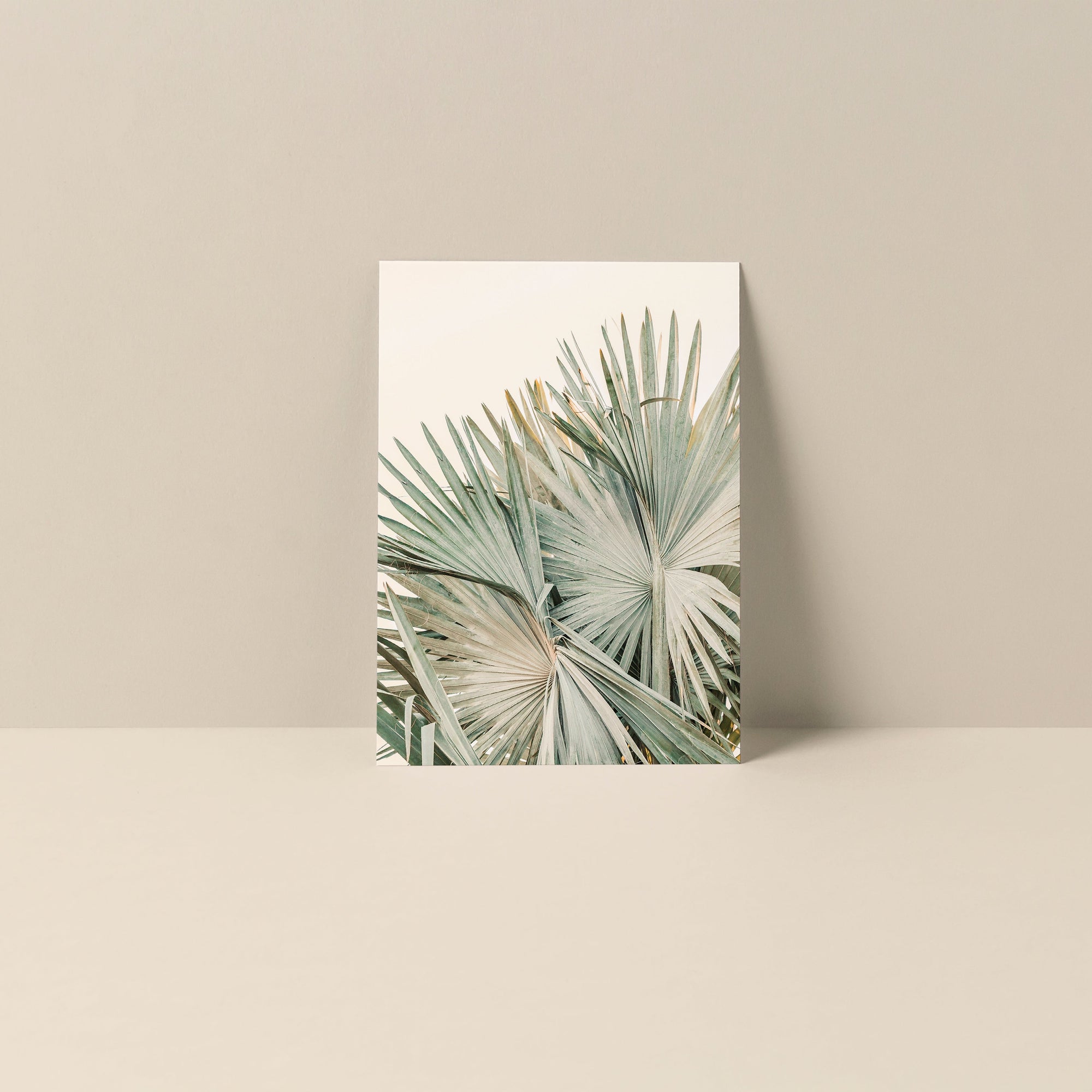 Blank Photography Note Card - Closer