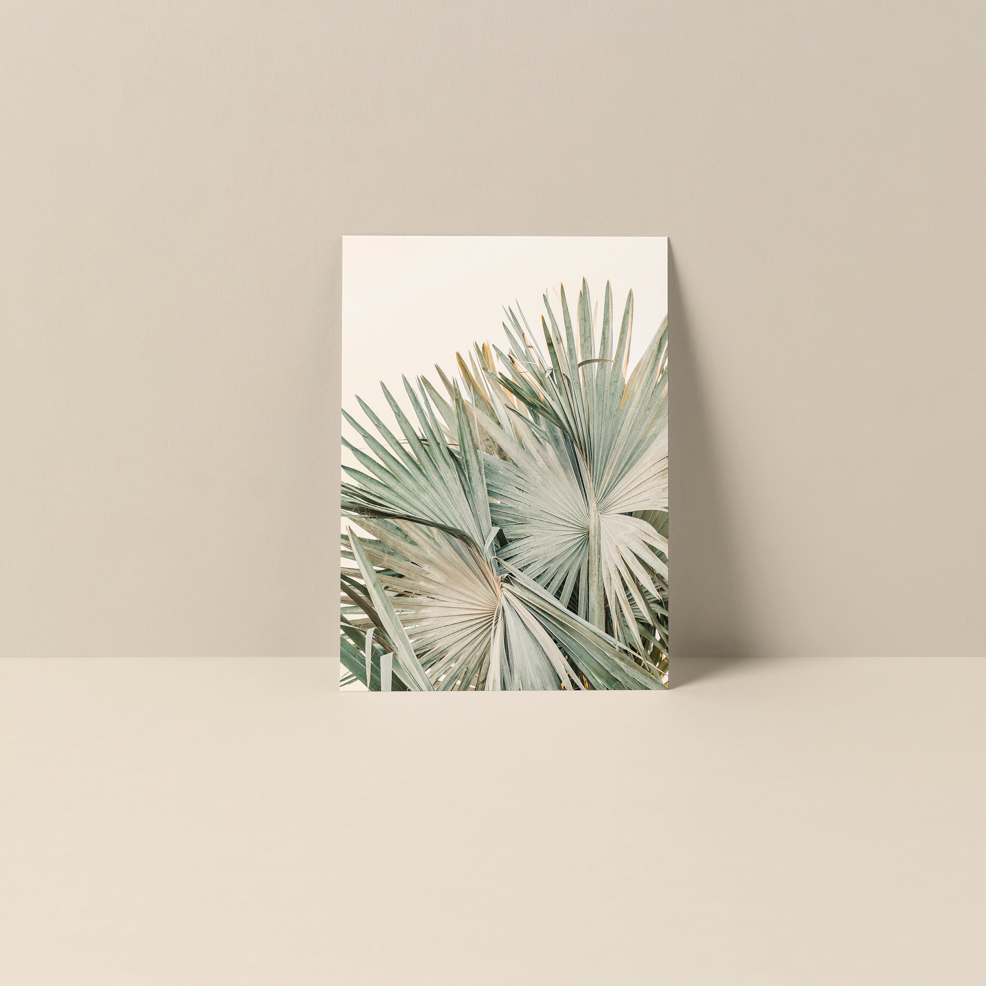 Blank Photography Note Card - Closer