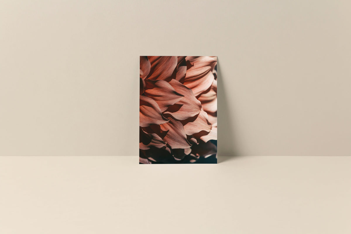 Close-up of soft coral pink and deep burgundy flower petals filling the entire rectangle, creating an abstract floral pattern on a blank note card.