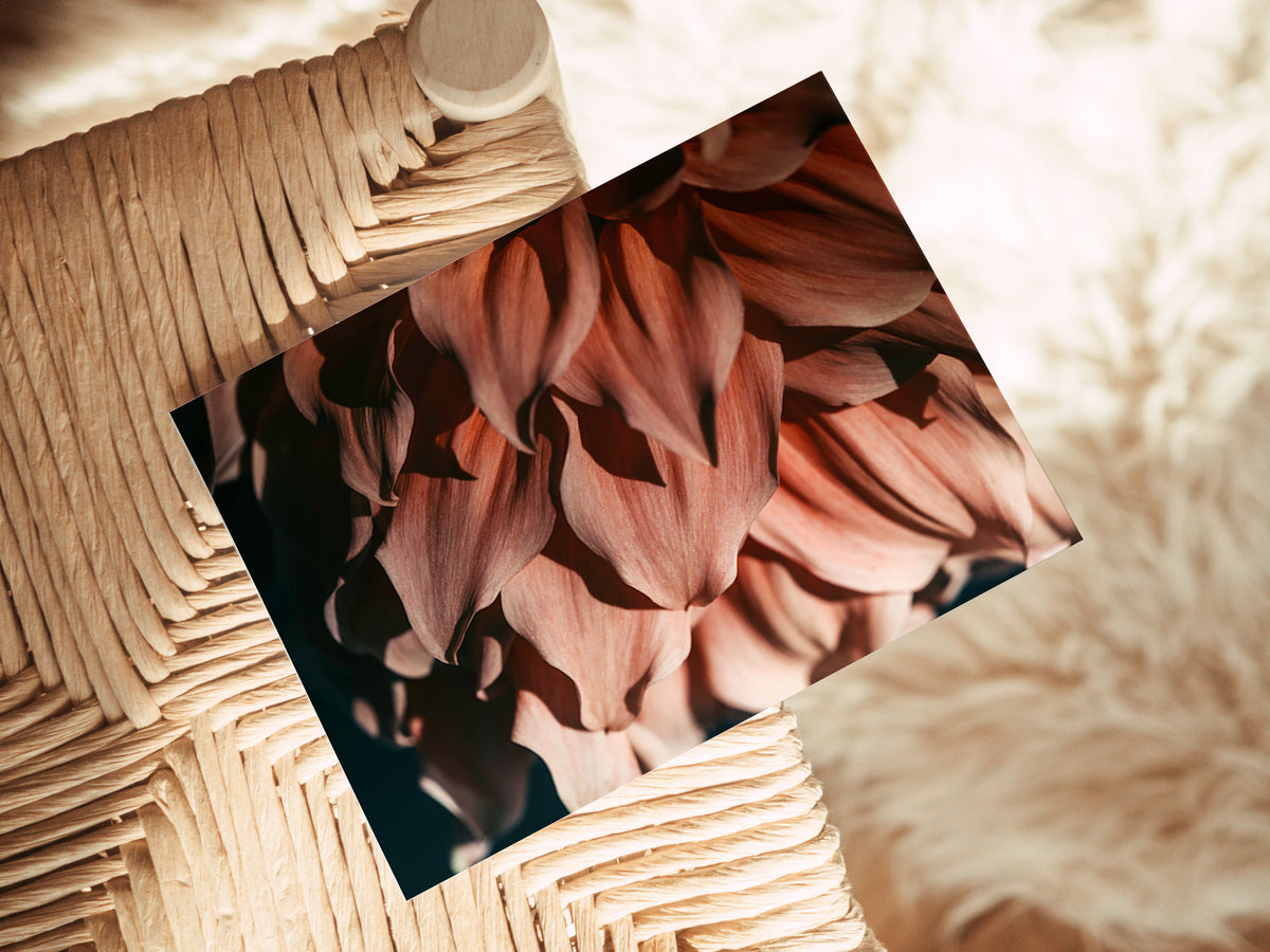 Close-up of soft pink and peach flower petals with curved shapes on a square note card resting on woven natural fiber chair.