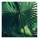 Modern Fine Art Photograph - Everything Was Green #1 by Alicia Bock Print Shop