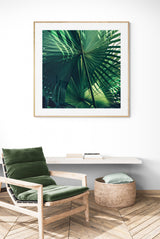 Framed photograph of overlapping green palm leaves with detailed veins, displayed above a cushioned wooden chair and woven basket in a minimalist room.