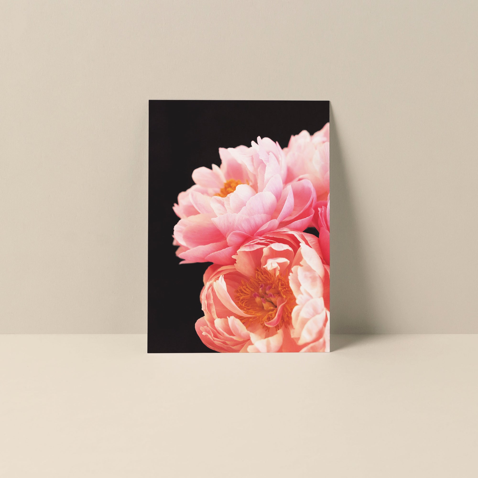 Blank Notecard - Haute Couture #2 featuring a Peony flower photograph