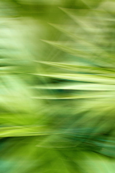 Modern Fine Art Abstract Photograph - In A September Breeze by Alicia Bock Print Shop - main product image for Resin Society