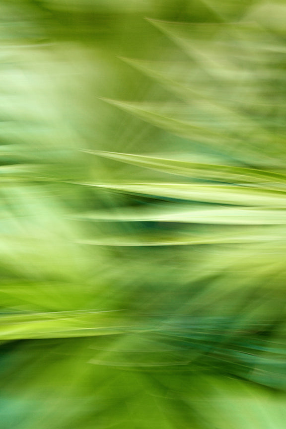 Modern Fine Art Abstract Photograph - In A September Breeze by Alicia Bock Print Shop - main product image for Resin Society