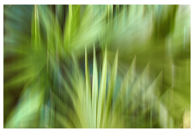 Modern Fine Art Abstract Photograph - In A Moment by Alicia Bock Print Shop - main product image for Resin Society
